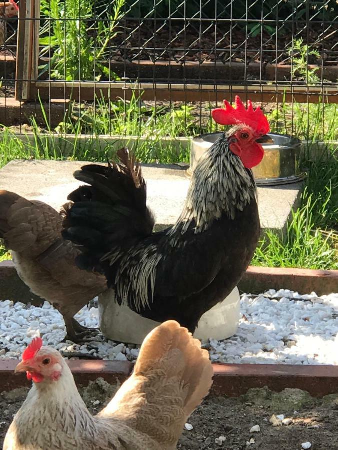 Ferienwohnung Landart Hilter Luaran gambar